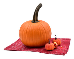 fall halloween pumpkin decoration still life isolated with berries on red mat