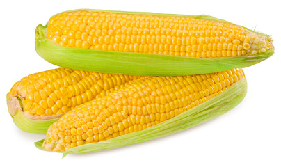 An ear of corn isolated on a white background
