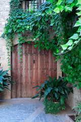 Solid door in an interior town of medieval origin