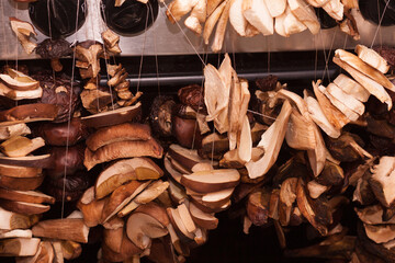 Dried forest mushrooms