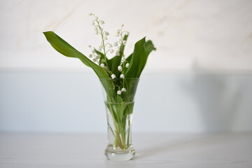 flower in vase. flower, vase, white, nature, green, isolated, spring, plant, flowers, bouquet, glass, blossom, leaf, beauty, floral, beautiful, flora, decoration, bloom, lily, natural, pot, tulip, 