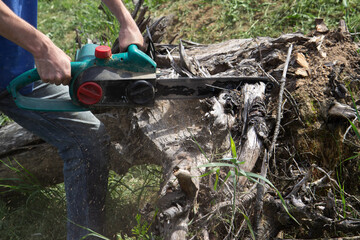 electric saw in action cutting wood. Man cutting wood with saw, dust and movements. Close-up of woodcutter sawing chain saw in motion, sawdust fly to sides.