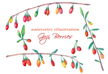 Watercolor set of goji berries. - 382908296