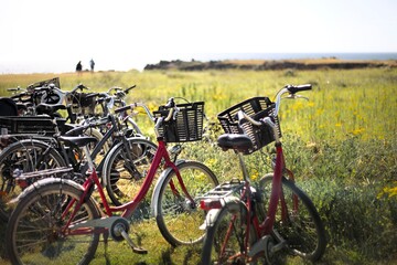 Naklejka premium Bikes parked in nature