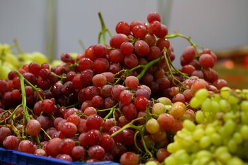Grapes. Red and green grapes