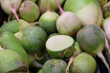 Radish. Green radish