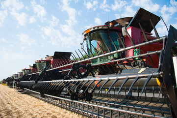 Combine harvesters ready for harvest