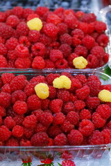 raspberries