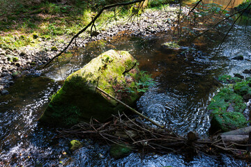 Wild summer Landscape around the Creek with Boulders and Rock in the Czech Switzerland, Czech Republic