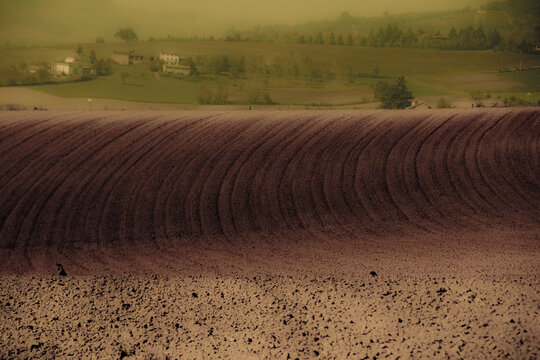 Terre seminate