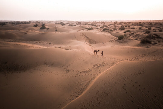 Aerial View Of Person Walking A Camel Across Great Indian Desert At Sunset