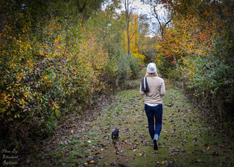 Fototapeta premium woman walking dog in autumn park