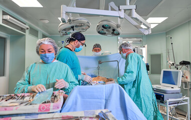 surgeon in the operating room performs the operation