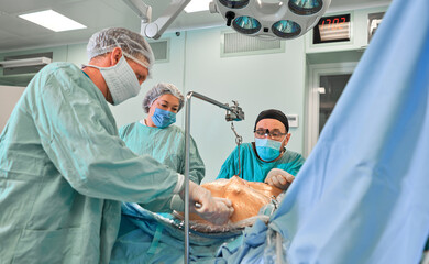 surgeon in the operating room performs the operation