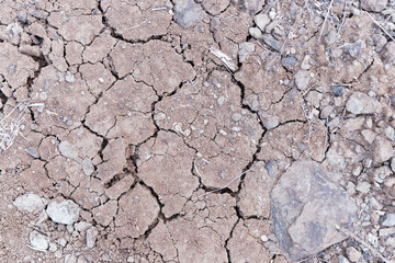 Dry Ground In The Desert