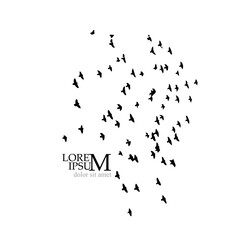A flock of flying birds. Vector illustration