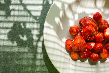 Top view of a ceramic plate full of fresh and sweet organic strawberries picked in the garden in...