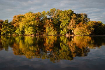 Trees in Autumn Colors at a Lake