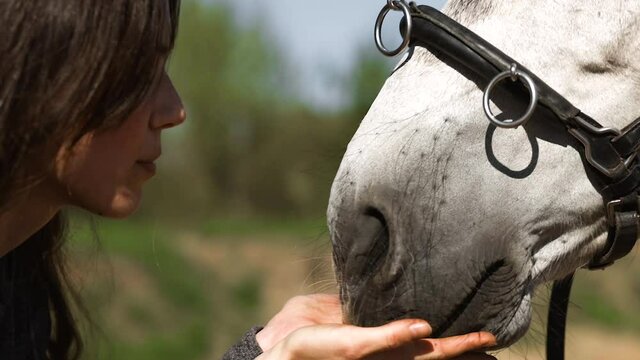 Woman kisses beautiful white horse in nose at ranch