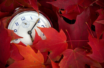Antique Clock Surrounded with Bright Red Maple Leaves