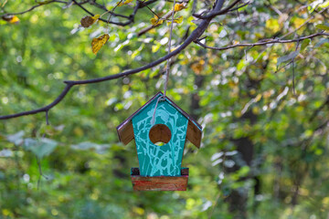 Wooden birdhouse-feeder in the summer city park