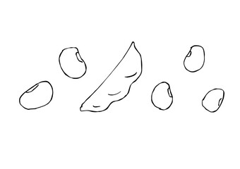  豆とさやの手描きイラスト