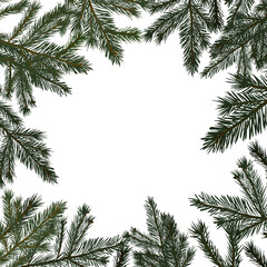 Square frame of spruce twigs. Vector illustration