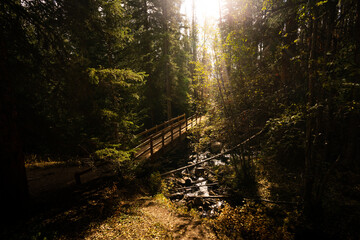 Beautiful Hiking Trail Bridge Stream Crossing in Forest with Light Flare from Sunset with Trees in Nature during Fall Autumn Season