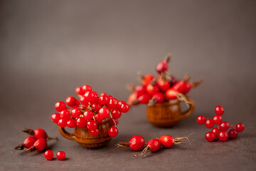 Autumn composition. Red berries of viburnum and rosehip in clay mugs. Soft focus. copy space
