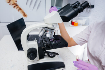 An infectious disease doctor works at a close-up microscope. Study of viruses and bacteria in the medical laboratory