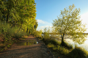 Rural landscape in summer for hikker. Country road by a lake. 
