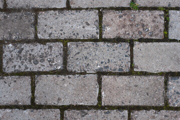Gray brick path, moss in the cracks