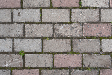 Gray brick path, moss in the cracks