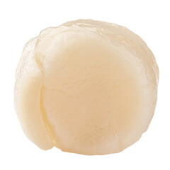 scallop isolated on white background, clipping path, full depth of field