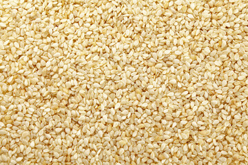 sesame isolated on white background, full depth of field