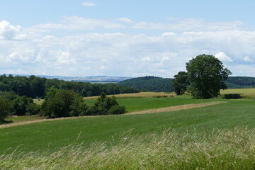 Landschaften mit Wiesen, Bäumen und Wäldern