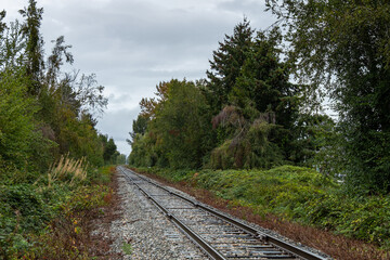 railroad stretching to the far end with both sides covered with dense trees and bushes on an overcast day