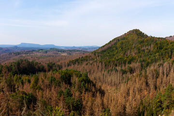 Late summer Landscape in the Czech Switzerland, Czech Republic