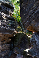 Late summer Landscape in the Czech Switzerland, Czech Republic