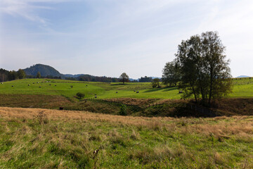 Obraz premium Late summer Landscape in the Czech Switzerland, Czech Republic