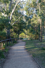 Dirt pathway between trees in Parramatta Park.