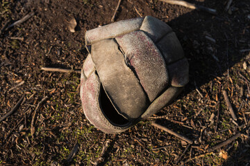 Old deflated ball in Chernobyl zone