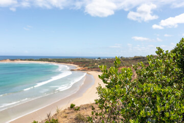 Fototapeta na wymiar Scenic view at Anglesea Beach in Victoria, Australia 