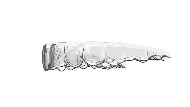 Clear transparent teeth aligners 