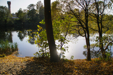 view from the autumn forest to the lake on a Sunny day