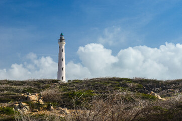 Fototapeta na wymiar A lighthouse on the coast of the ocean