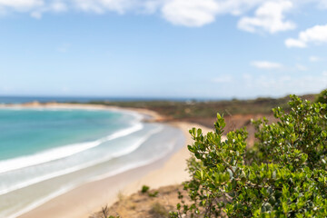 Scenic view at Anglesea Beach in Victoria, Australia blurred backgroun d