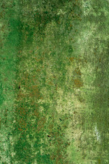 Green mildew on concrete wall good for background or texture