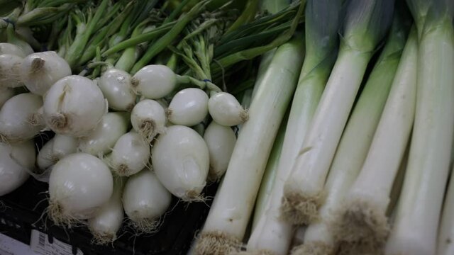 Closeup of fresh spring onions for sale on display of farmer market 