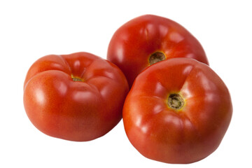 Tomatoes on white background